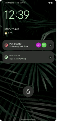 Apple watch support