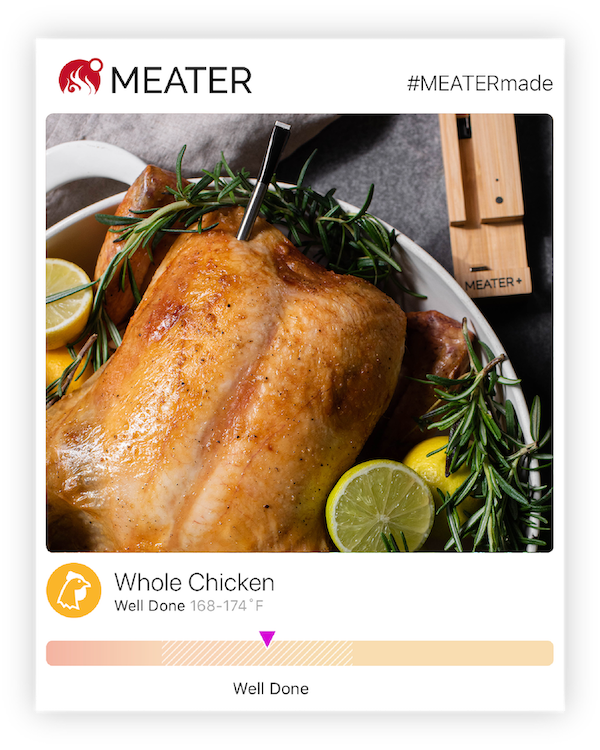 meater-academy-videos-ios